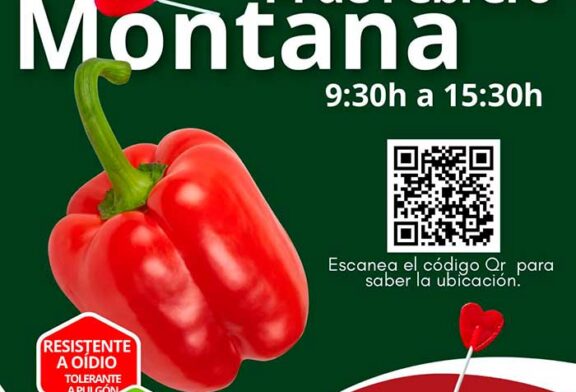 Día 14 de febrero. Jornada de pimiento de Argenta Seeds