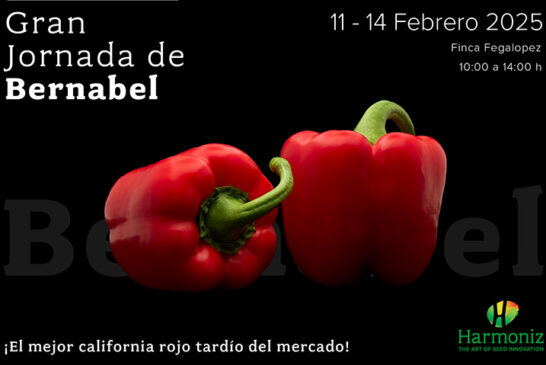 Del 11 al 14 de febrero. Jornadas de pimiento Bernabel de Harmoniz