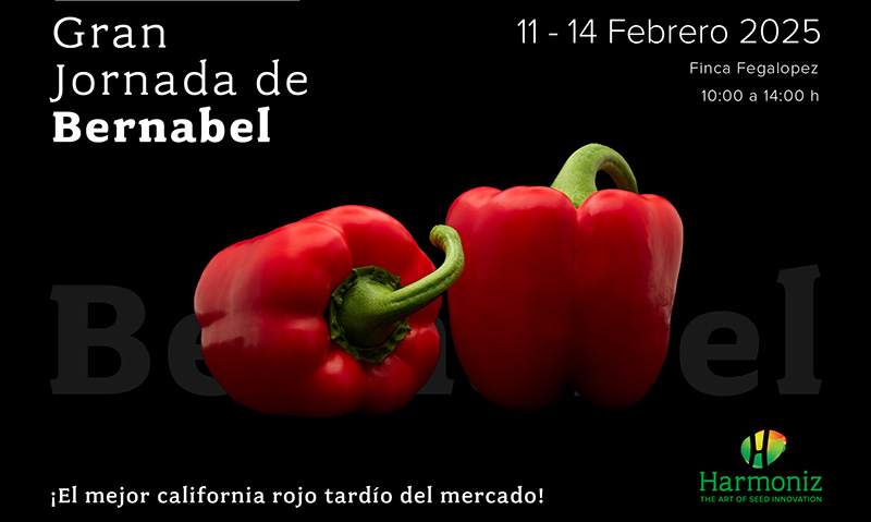 Del 11 al 14 de febrero. Jornadas de pimiento Bernabel de Harmoniz