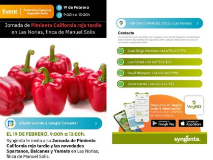 Jornada de pimiento rojo tardío de Syngenta