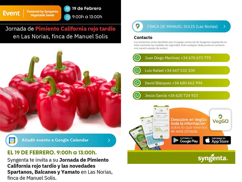 Día 19 de febrero. Jornada de pimiento rojo tardío de Syngenta