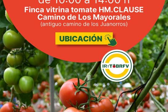 Día 20 de febrero. Jornada de tomate pera Freeman de HM.Clause