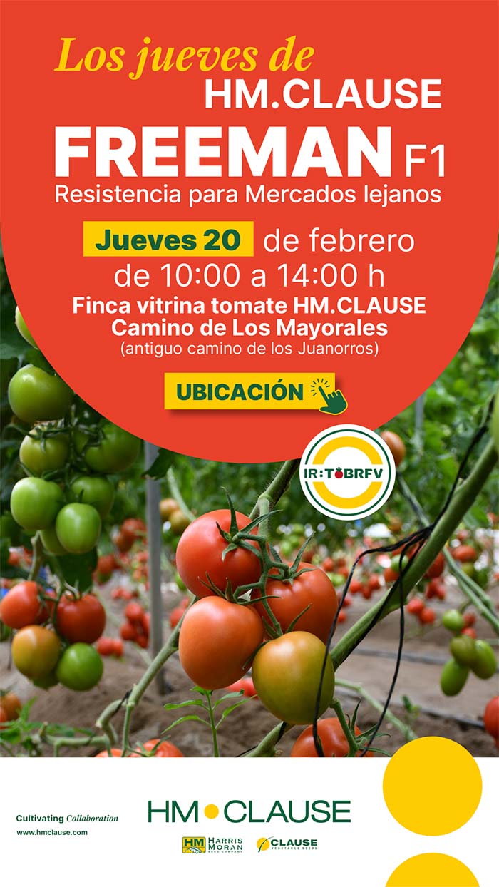 Día 20 de febrero. Jornada de tomate pera Freeman de HM.Clause