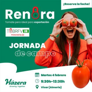 Jornada de tomate Renora de Hazera