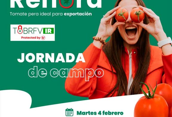 Día 4 de febrero. Jornada de tomate pera de Hazera