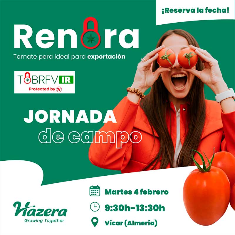 Día 4 de febrero. Jornada de tomate pera de Hazera