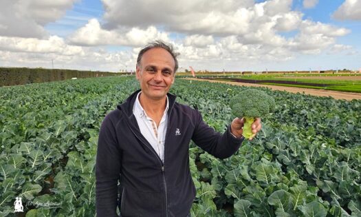 José Antonio Hernández Torres, especialista de brásicas en Rijk Zwaan / agroautentico.com