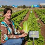 Isabel Díaz con la lechuga Yoannina de Syngenta / agroautentico.com