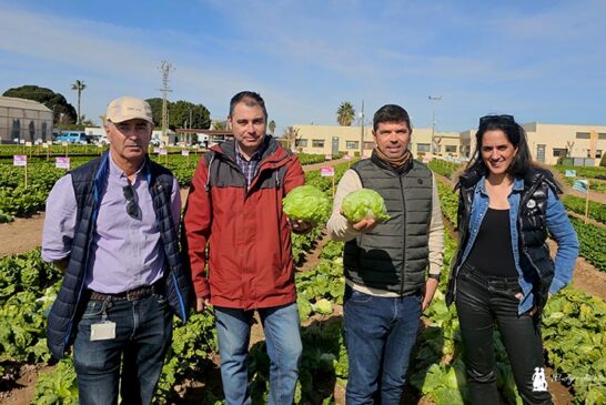 Mulana, Tratora, Salazara y Ortuna son los cuatro nuevos jinetes de la iceberg