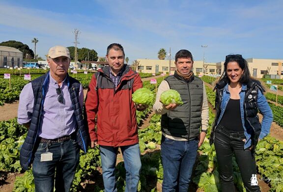 Mulana, Tratora, Salazara y Ortuna son los cuatro nuevos jinetes de la iceberg