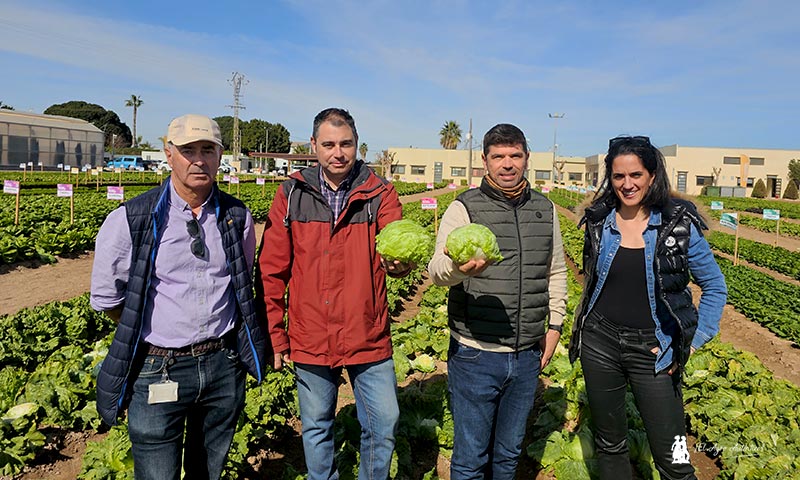 Mulana, Tratora, Salazara y Ortuna son los cuatro nuevos jinetes de la iceberg