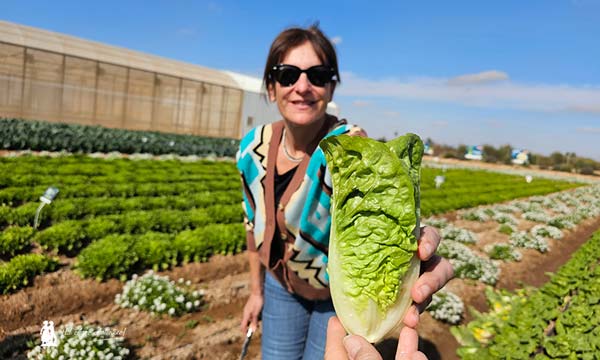 Isabel Díaz con la mini romana LRMN22-2215 con nervio sólido / agroautentico.com