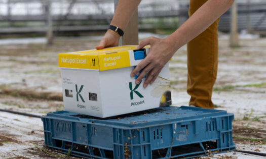 colmenas Natupol de Koppert / agroautentico.com
