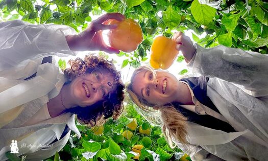 Ana Rubio y Tania López con el pimiento amarillo Belenus / agroautentico.com