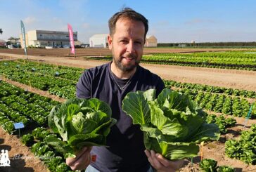 Rijk Zwaan innova de la crunchy pequeña a la midi con hoja dulce y crujiente