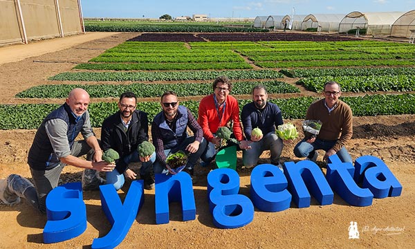 Demo Days Salads 2025 de Syngenta en Murcia / agroautentico.com