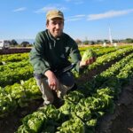 El breeder de las Baby, Batavias y mini romanas de Gautier