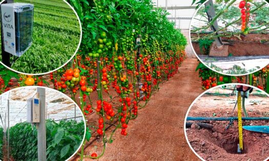 Tecnología de BrioAgro. Agua, riego, regadío, riego inteligente / agroautentico.com