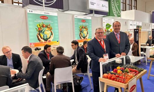 Vicasol presenta en Fruit Logística la robotización de las nuevas líneas de tomate y pepino para aumentar la producción y mejorar la eficiencia