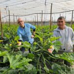 Luis Martínez, Syngenta, con el anfitrión, Paco Fernández / agroautentico.com