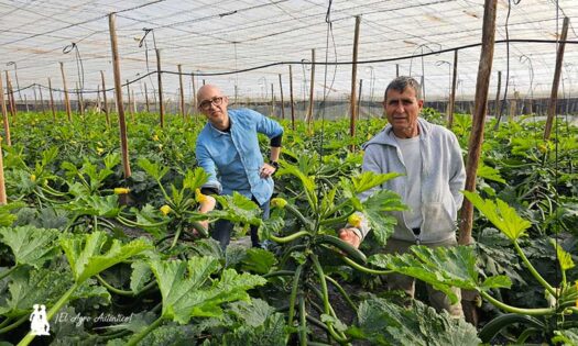 Luis Martínez, Syngenta, con el anfitrión, Paco Fernández / agroautentico.com