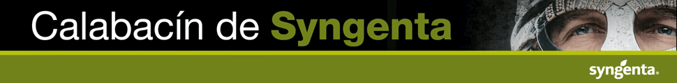 CABECERA SYNGENTA PIMIENTO 2025