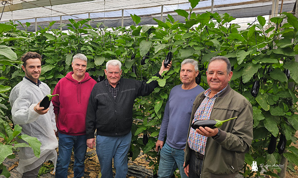 Técnicas de Agroejido en las jornadas de Rijk Zwaan / agroautentico.com