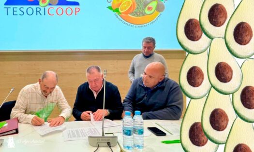 Unica y el aguacate. Integración de Cooperativa del Campo Guadiaro y Cooperativa San Martín del Tesorillo (Tesoricoop) / agroautentico.com