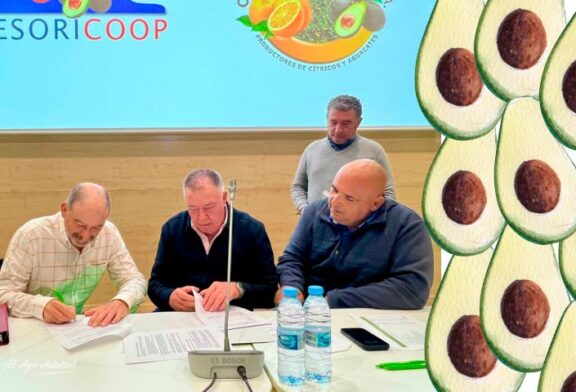 Unica ataca el mercado del aguacate con la integración de dos nuevas cooperativas