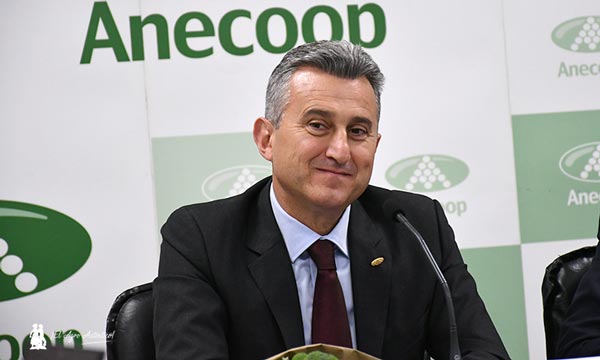 Alejandro Monzón, presidente de Anecoop, presenta la cifra récord de la cooperativa / agroautentico.com