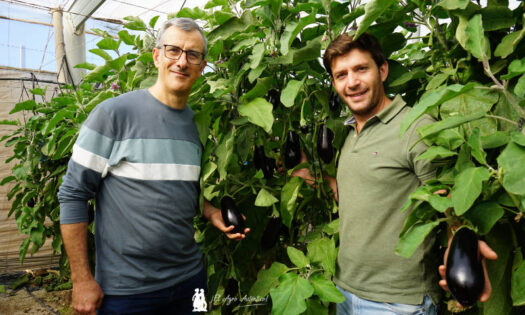 Antonio Almodóvar y Nicolás Maroni con la novedad de Takii: berenjena Patagonia / agroautentico.com