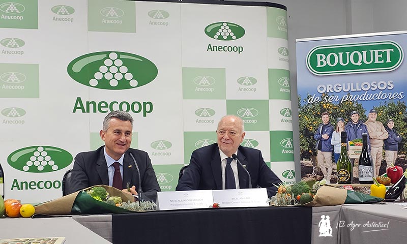 Asamblea ordinaria de Anecoop celebrada el 14 de marzo de 2025 en Algemesí / agroautentico.com