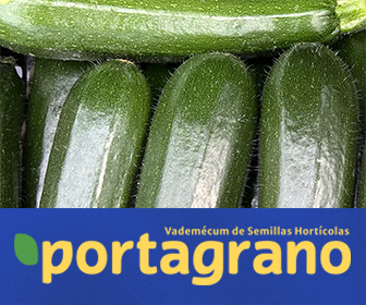 PORTAGRANO