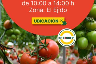 Día 13 de marzo. Jornada de tomate pera de HM.Clause