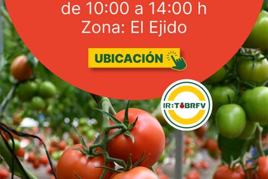 Día 13 de marzo. Jornada de tomate pera de HM.Clause