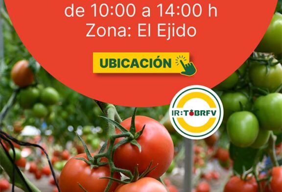 Día 13 de marzo. Jornada de tomate pera de HM.Clause