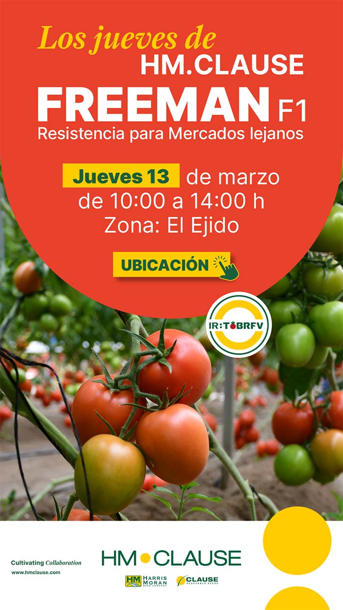 Día 13 de marzo. Jornada de tomate pera de HM.Clause