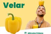 Día 12 de marzo. Jornada de pimiento amarillo de Hazera