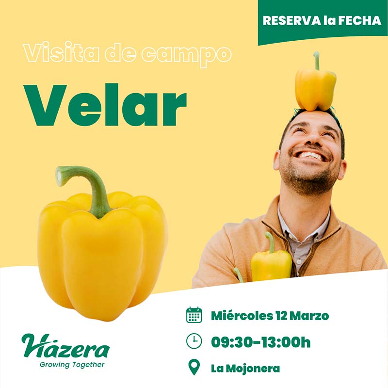 Día 12 de marzo. Jornada de pimiento amarillo de Hazera