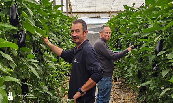 Agricultores en las jornadas de campo de Rijk Zwaan en La Mojonera / agroautentico.com