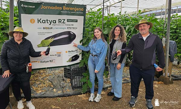 Agricultores en las jornadas de campo de berenjena Katya de Rijk Zwaan en La Mojonera / agroautentico.com