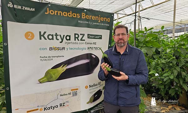 Rafael Carretero abre en su finca las puertas abiertas de la berenjena Katya / agroautentico.com