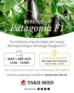 Jornada de berenjena Patagonia de Takii Seed