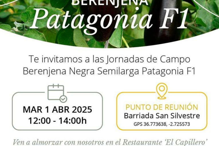 Día 1 de abril. Jornada de berenjena de Takii Seed