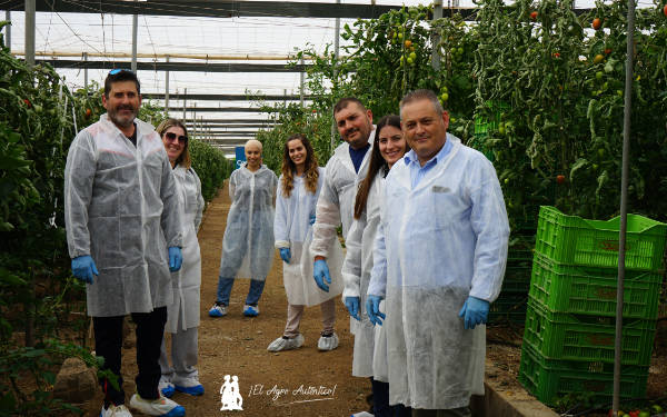 Jornadas de campo de tomate Panoramix de CapGen Seeds / agroautentico.com