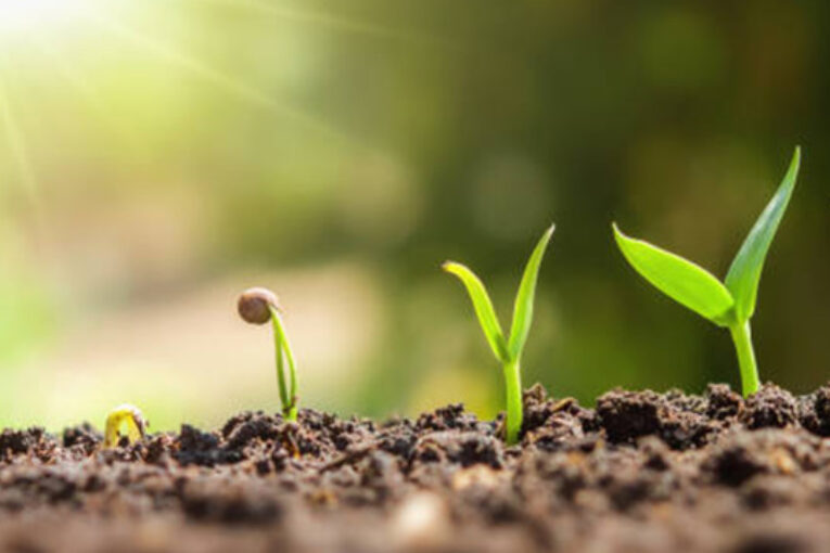 Las principales compañías de nutricionales se apuntan a InfoAgro 2025