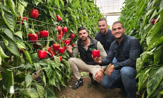 Javier Oliver y Sergio López con Rafa Craviotto, técnico de Craviotto y Fernández Suministros Agrícolas / agroautentico.com