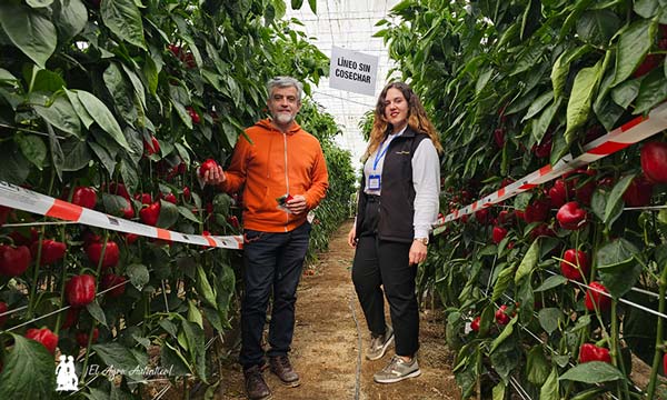 Jornadas de Argenta Seeds en Tierras de Almería / agroautentico.com