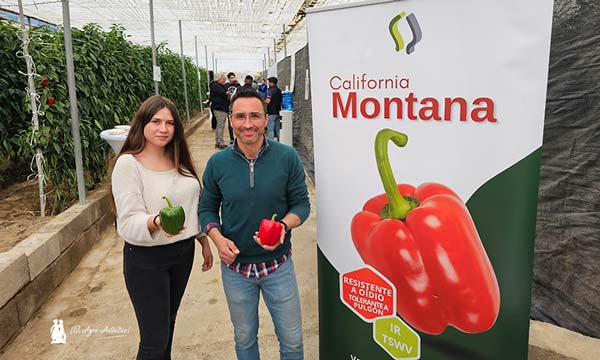 Jornadas de Argenta Seeds en Tierras de Almería. Pimiento Montana / agroautentico.com