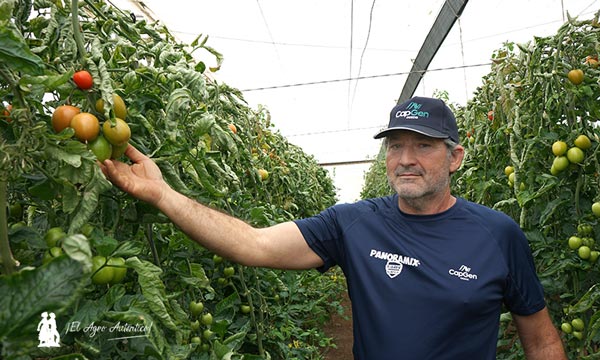 Juan José Berenguel, agricultor almeriense / agroautentico.com